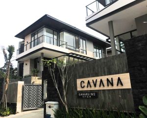 cavana-gaharu-1